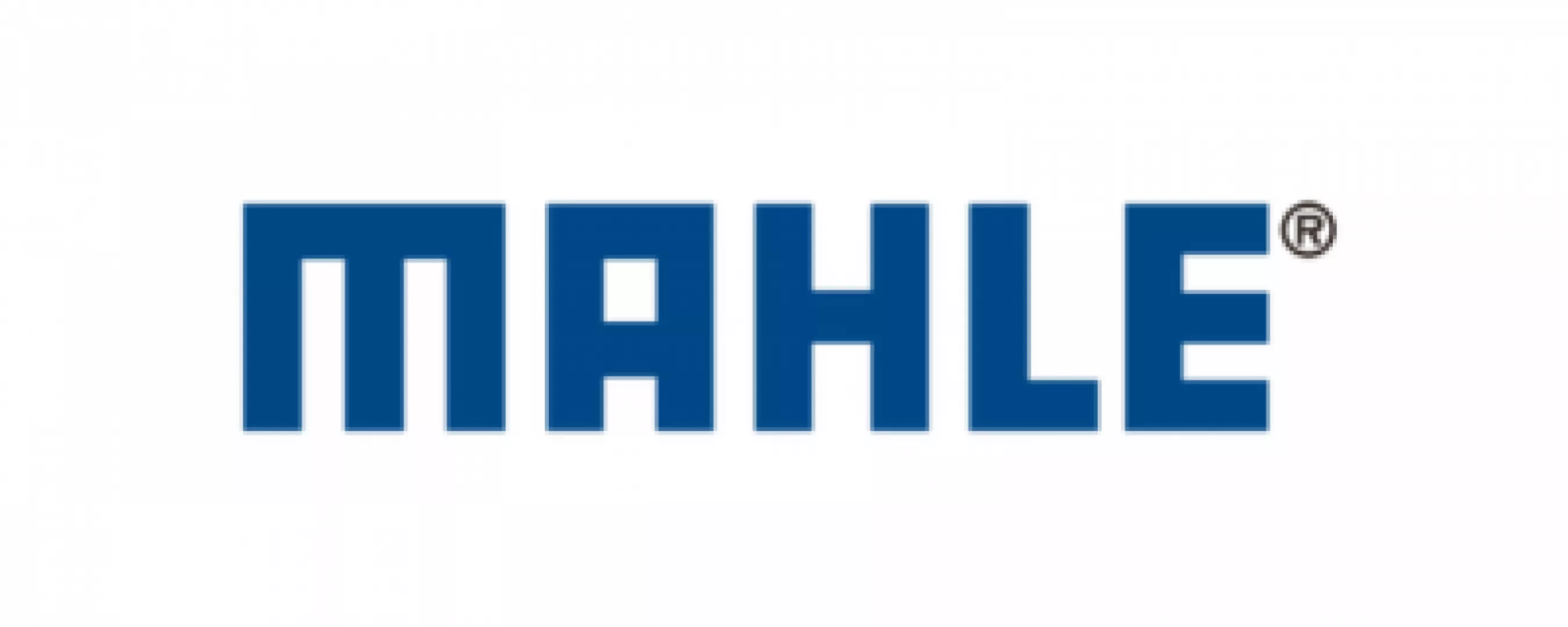 MAHLE Valvulas Argentina S.A.