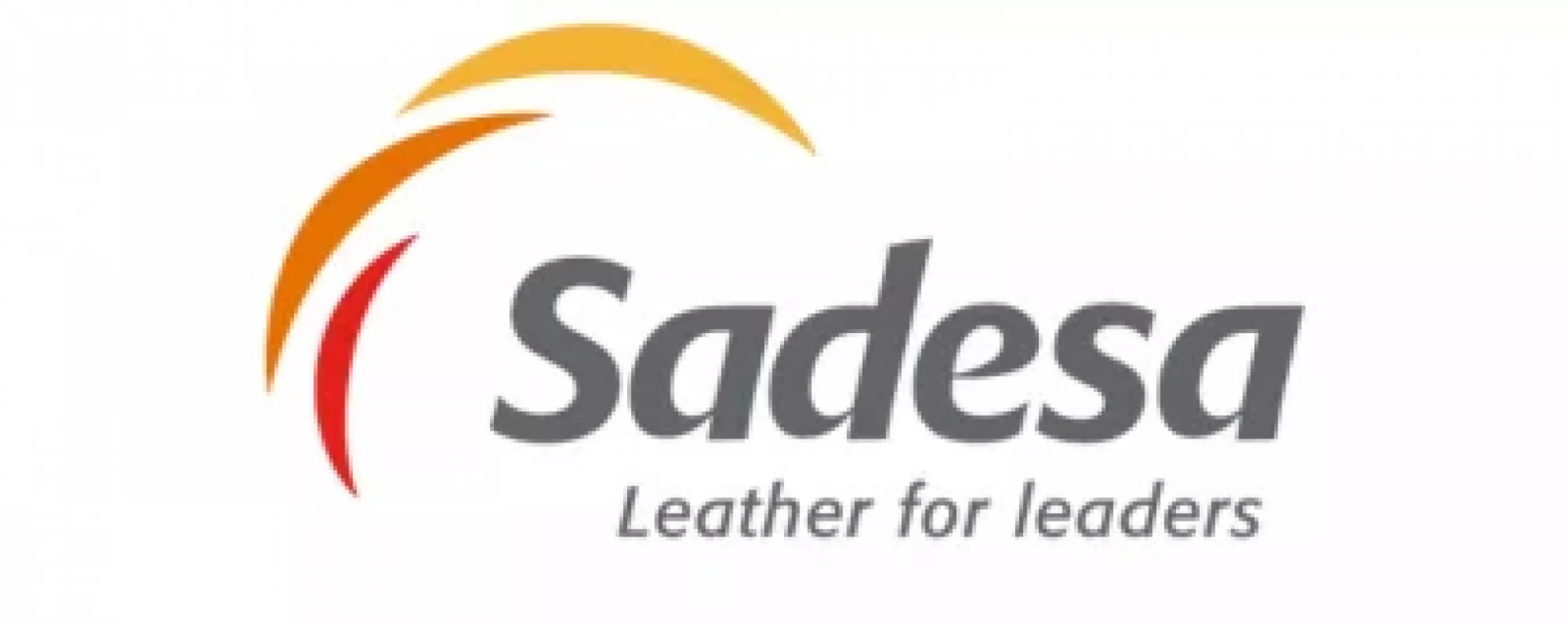 SADESA S.A.