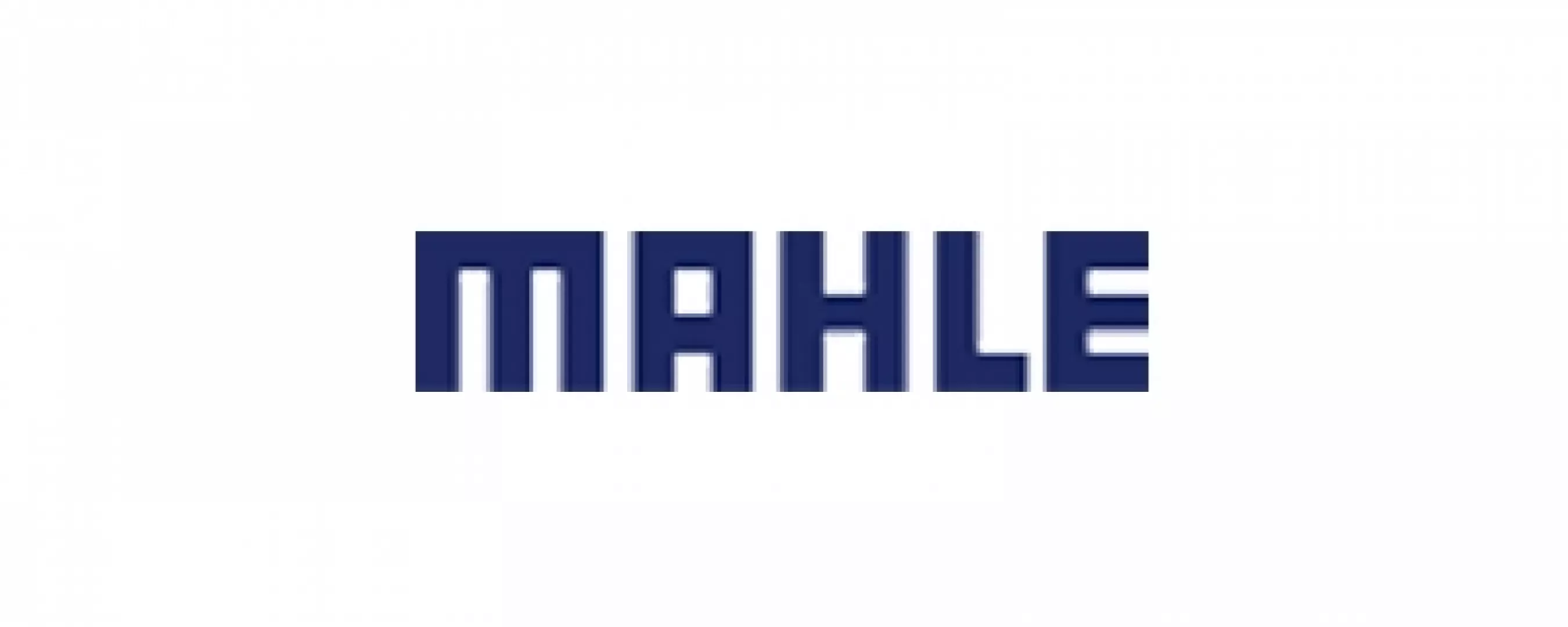 Mahle Argentina S.A.