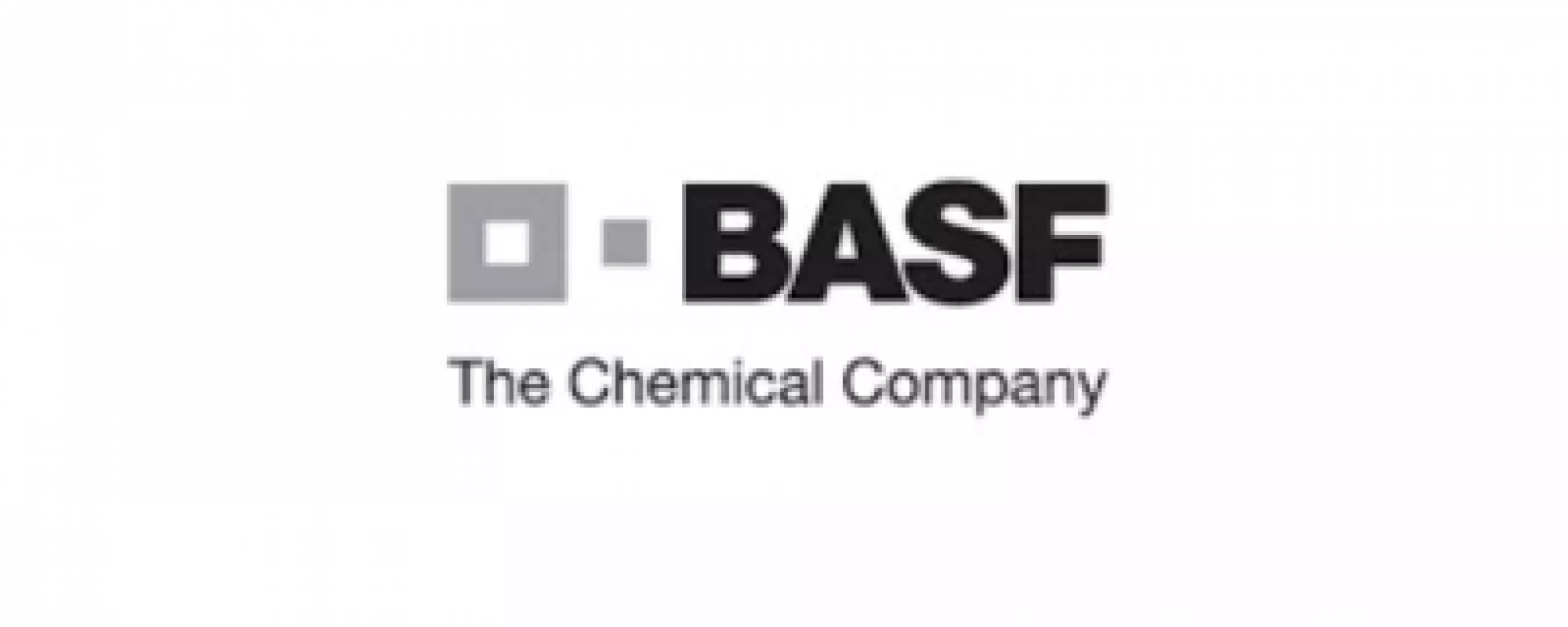 Basf Argentina S.A.